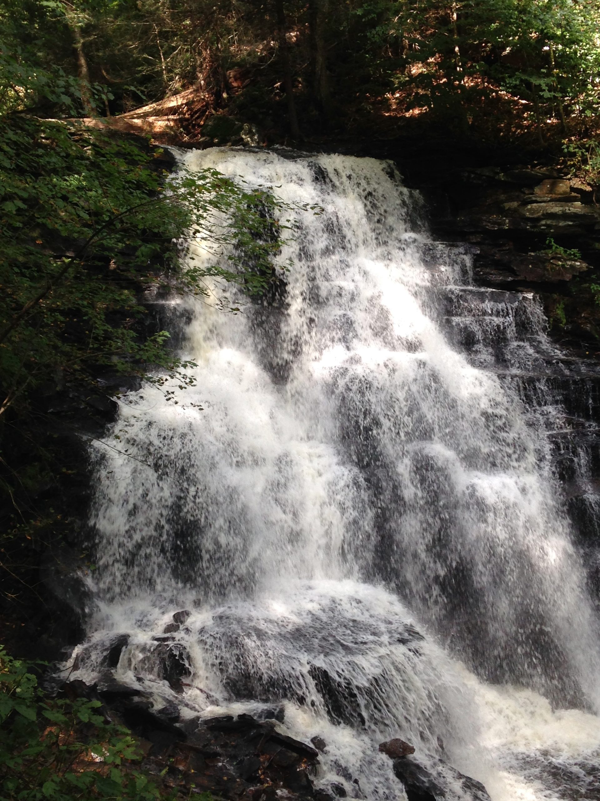 Chasing Waterfalls at Rickett’s Glen State Park – Rusch To The Outdoors